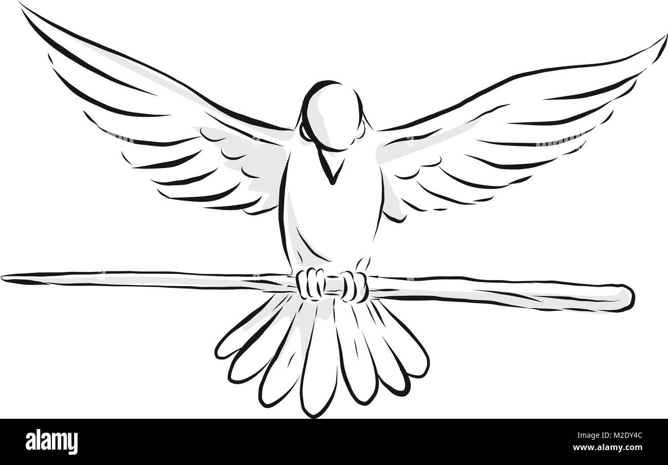 Estilo boceto Dibujo Ilustración de un auge de la paloma o la paloma con  propagación de ala agarrando un personal de madera o caña, visto desde la  parte delantera en aisladas backgrou
