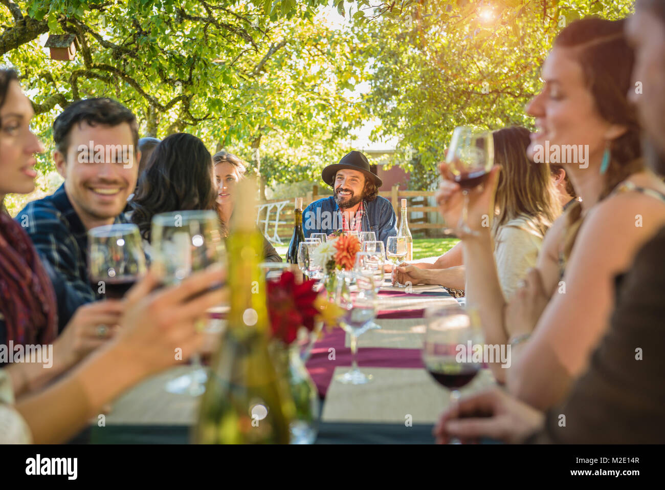 Amigos bebiendo vino en parte al aire libre Foto de stock