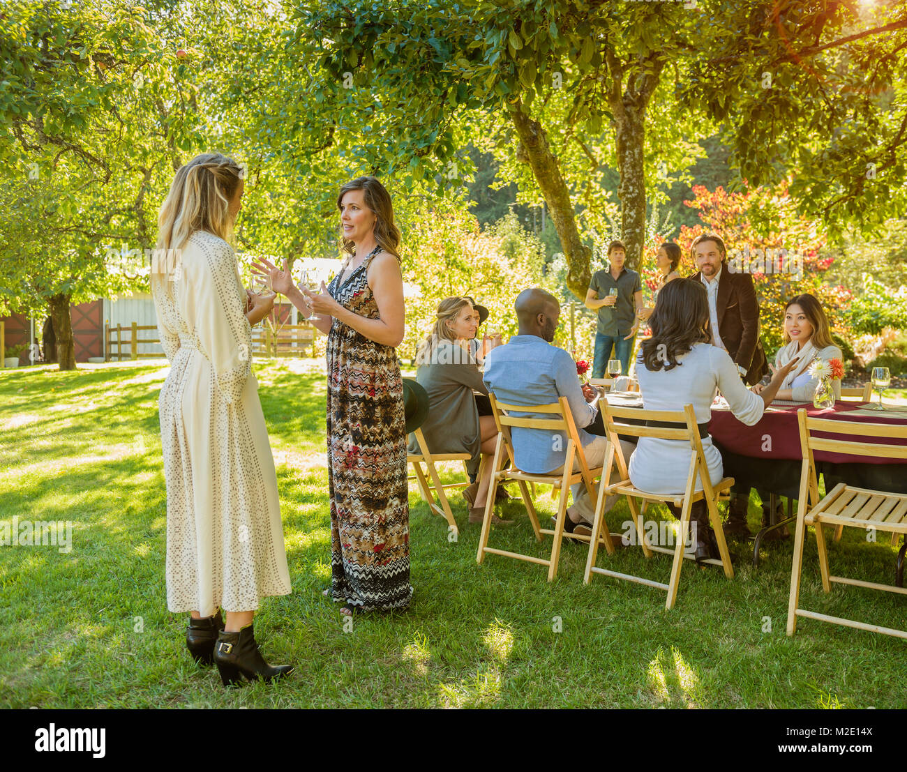 Mujeres de pie y hablar de la fiesta al aire libre Foto de stock