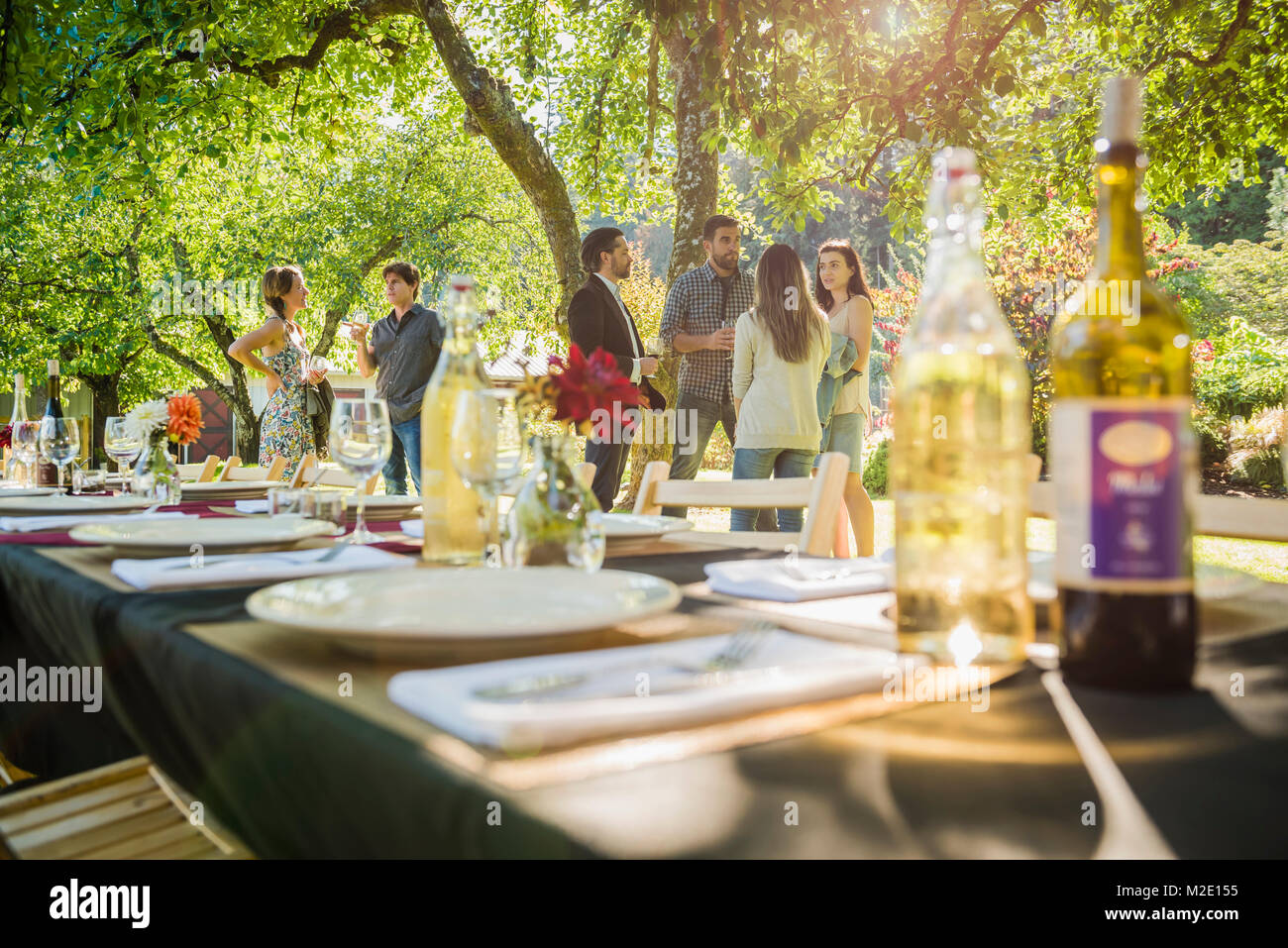 Las botellas de vino en la mesa de la fiesta al aire libre Foto de stock