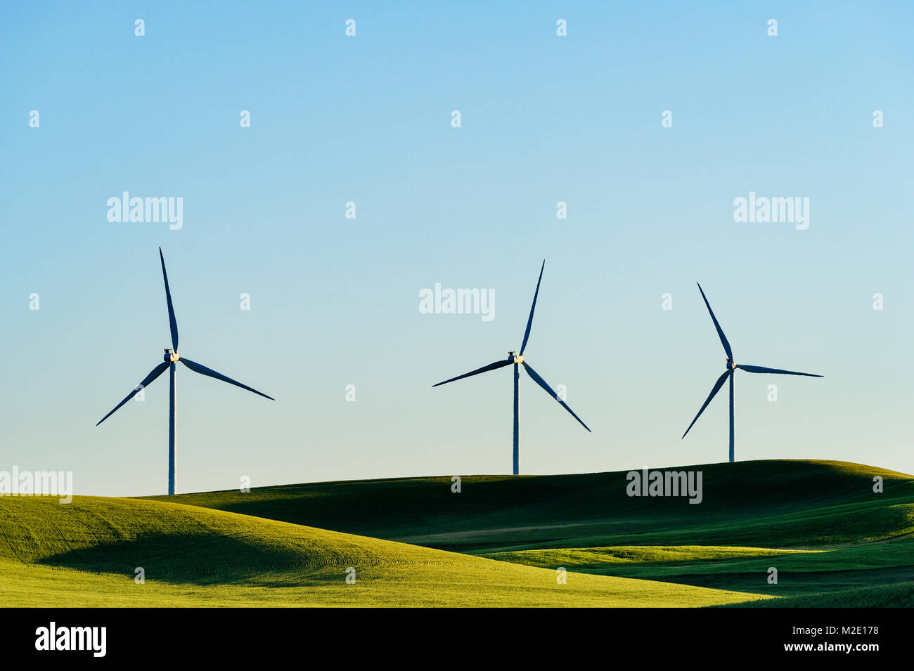 Las turbinas eólicas en el verde paisaje ondulado Foto de stock