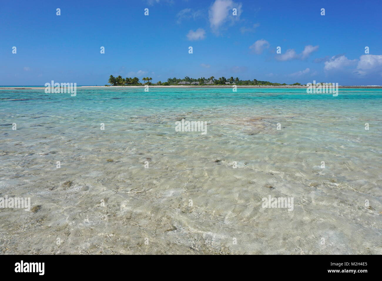 Aguas de una laguna y una isla tropical en el fondo, Tikehau atoll, Tuamotus, Polinesia Francesa, al sur del océano Pacífico, Oceanía Foto de stock