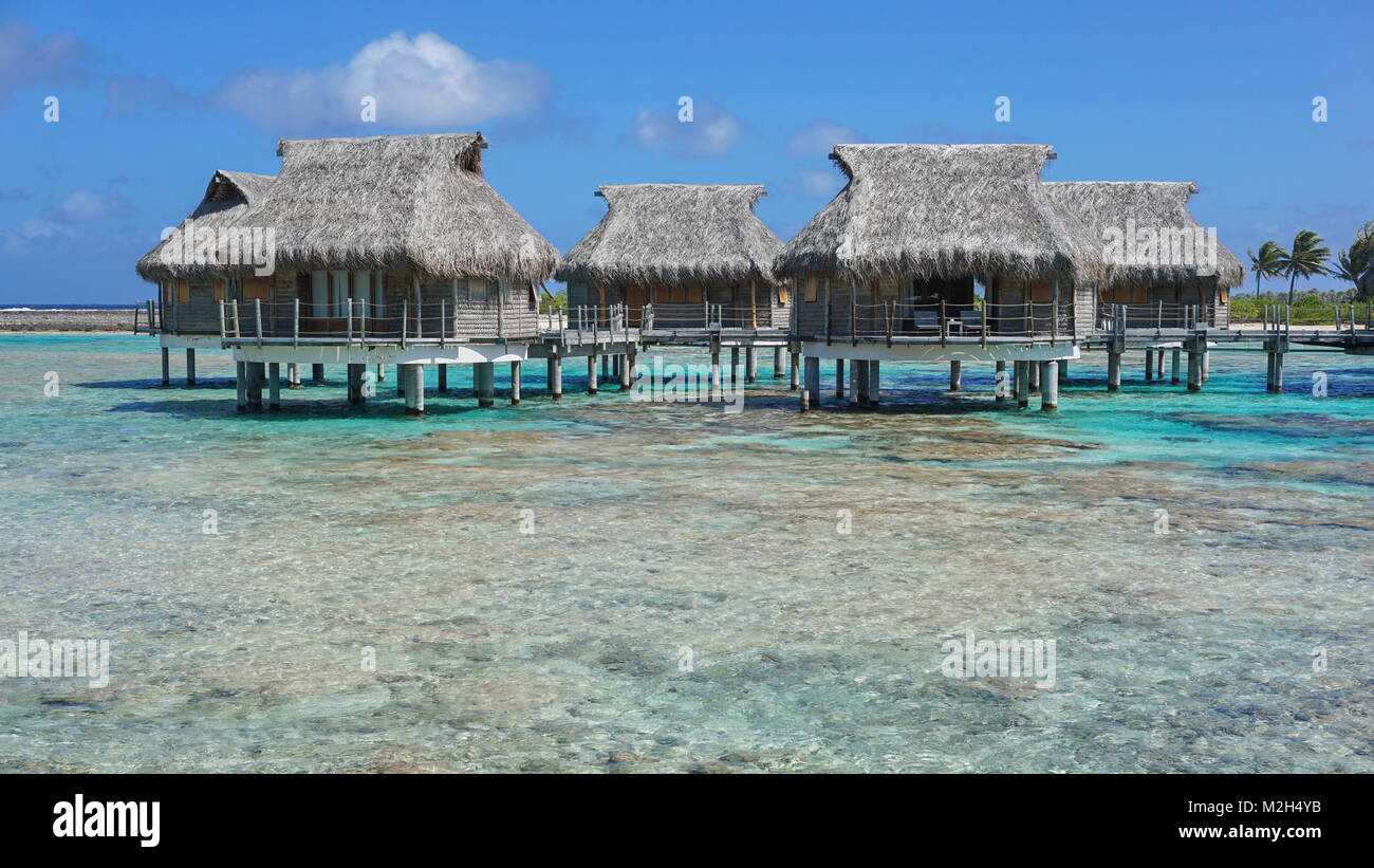Bungalows con techo de paja tropicales sobre el mar en la laguna, Tikehau atoll, Tuamotus, Polinesia francesa, Océano Pacífico, Oceanía Foto de stock