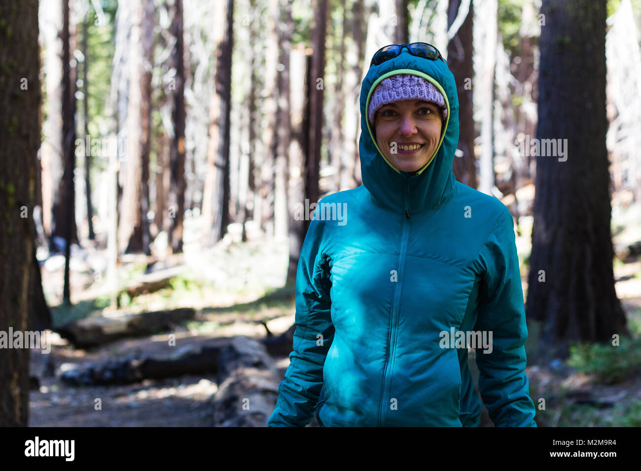 Joven mujer caucásica en ropa de invierno plantea entre gigantes árboles Sequoia Foto de stock