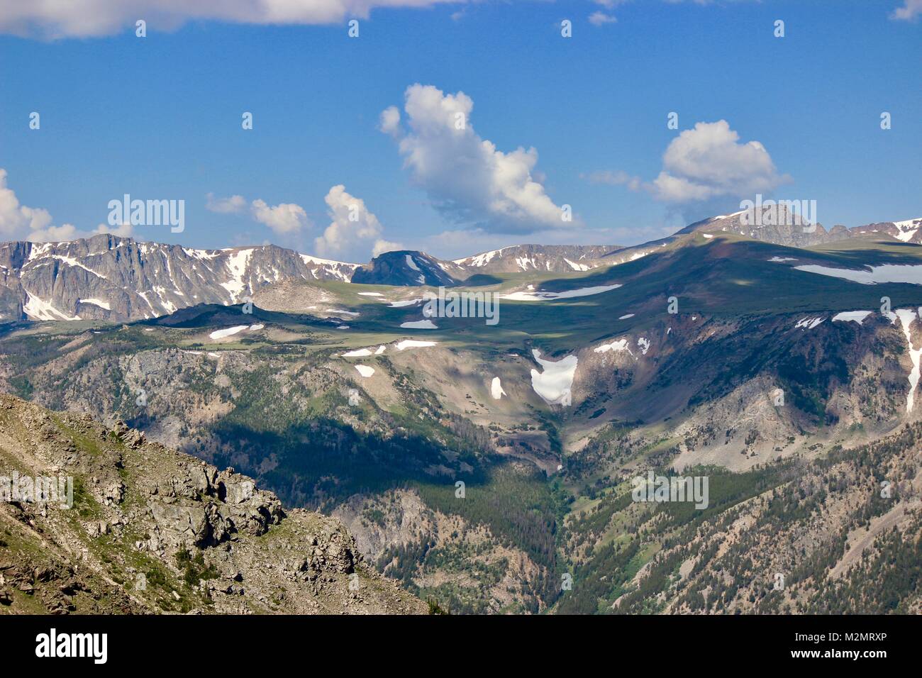 Custer Gallatiine Forrest nacional Foto de stock