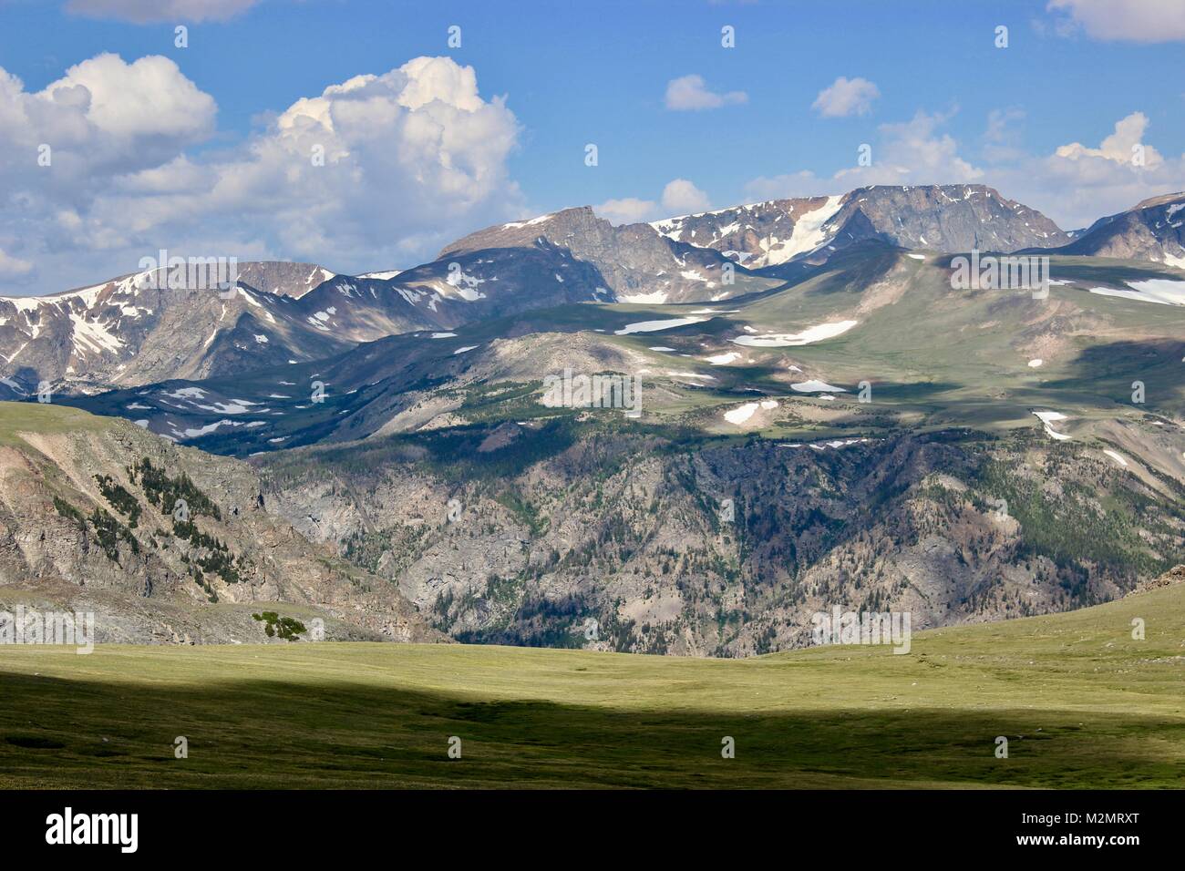 Custer Gallatiine Forrest nacional Foto de stock