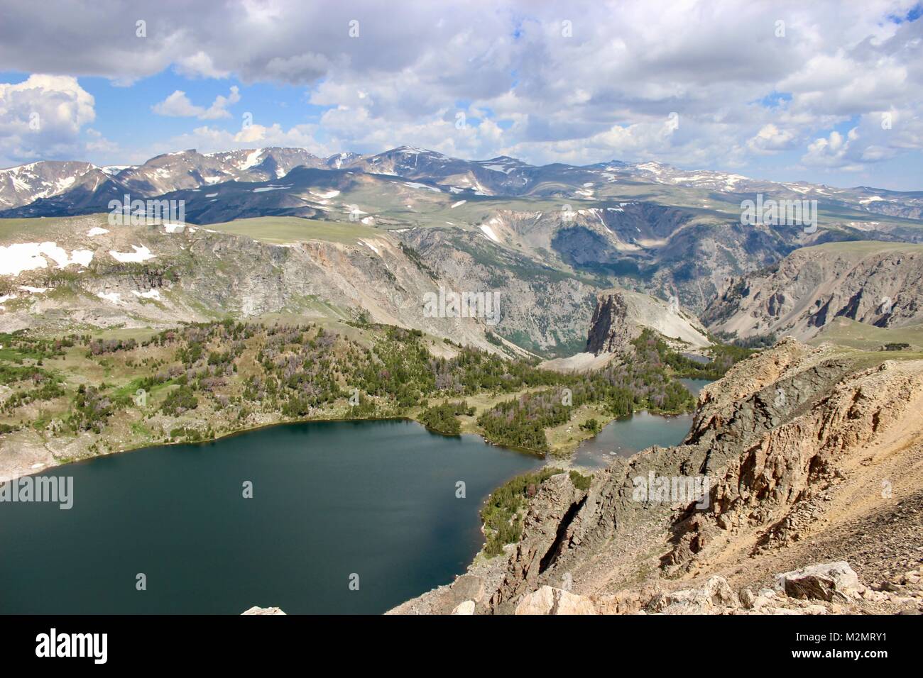 Custer Gallatiine Forrest nacional Foto de stock