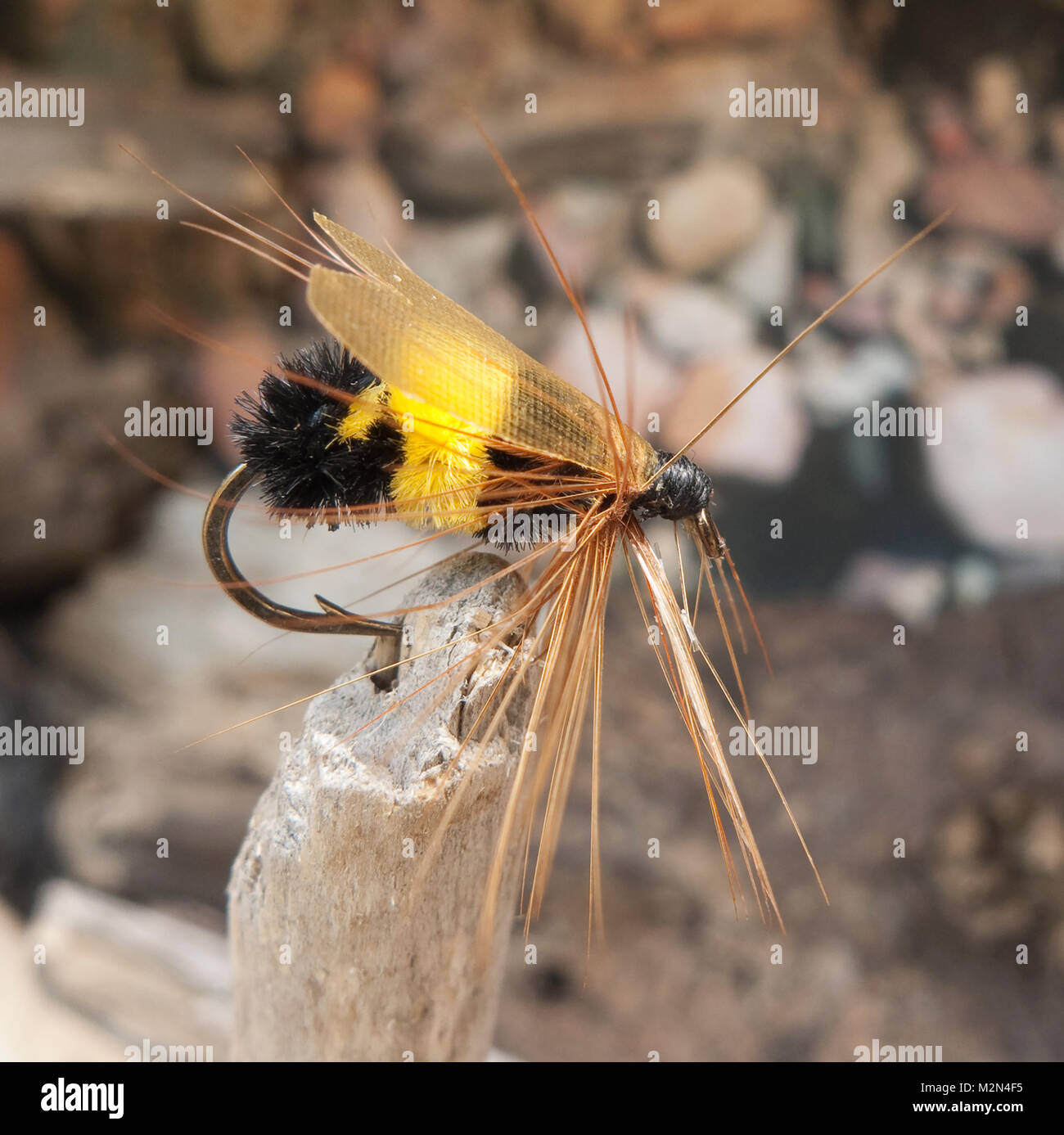 Mosca de la pesca de abejas fotografías e imágenes de alta resolución -  Alamy