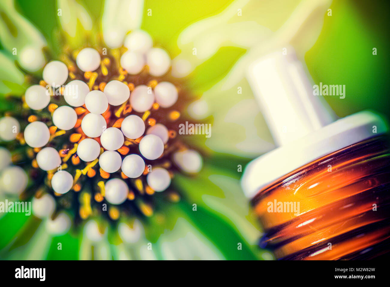 Flor, glóbulos, homeopatía, drogas Foto de stock