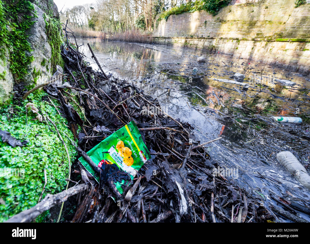 Vacíe la bolsa nítidos, botellas plásticas y latas de bebida en un lago en una reserva natural. Foto de stock
