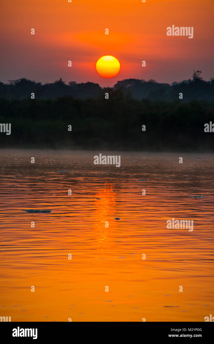 El amanecer sobre el Nilo, en el Parque Nacional de Murchison Falls, Uganda, África Foto de stock