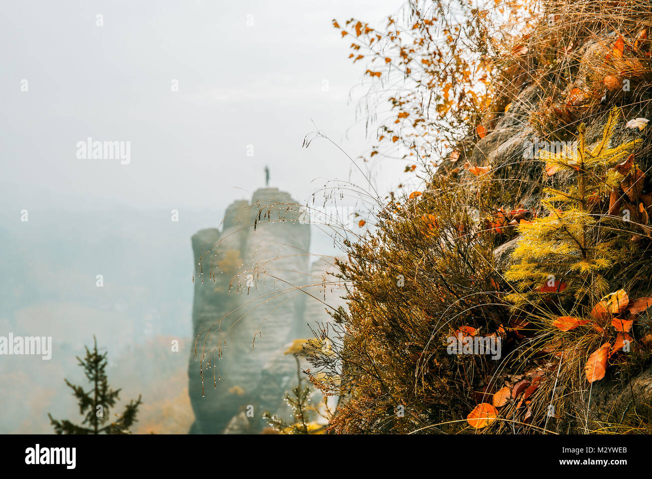 Colores de otoño en el Elbsandsteingebirge (Elba), cerca de las montañas de arenisca Rathen Foto de stock