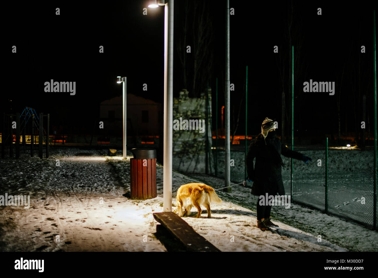 Mujer con sombrero camina por la noche con el perro con una correa  iluminado por la luz de una lámpara de la calle, sobre la avenida cubiertos  de nieve Fotografía de stock 