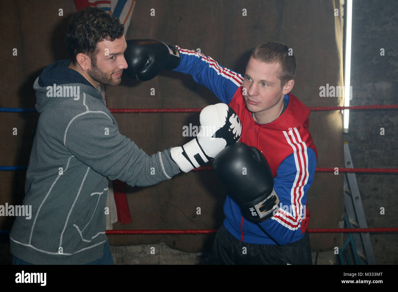 Sascha Pederiva Campeon Del Cuadro De Stefan Worth Verbotene Liebe S C Boxclub Aurora E V Koeln 24 01 14 Fotografia De Stock Alamy