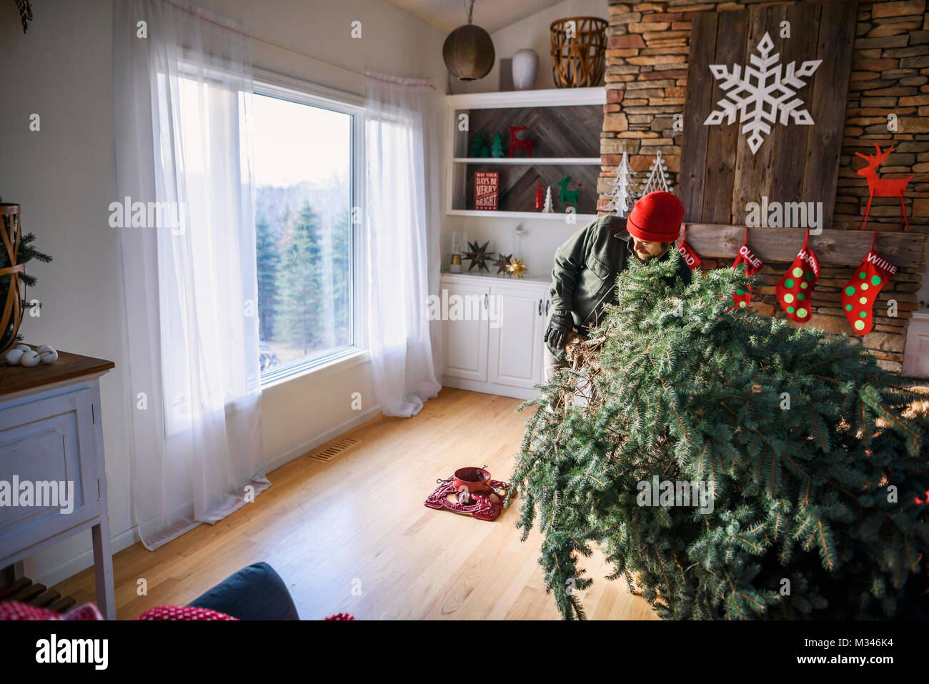 Hombre configurar un árbol de Navidad en el salón Foto de stock