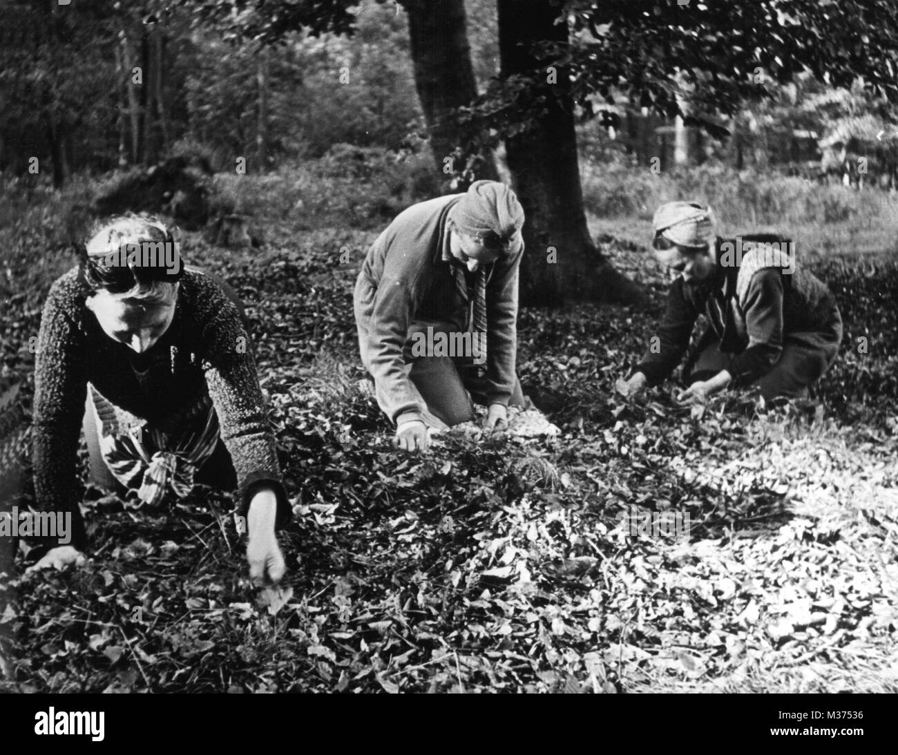 Alemania de posguerra fotografías e imágenes de alta resolución - Alamy
