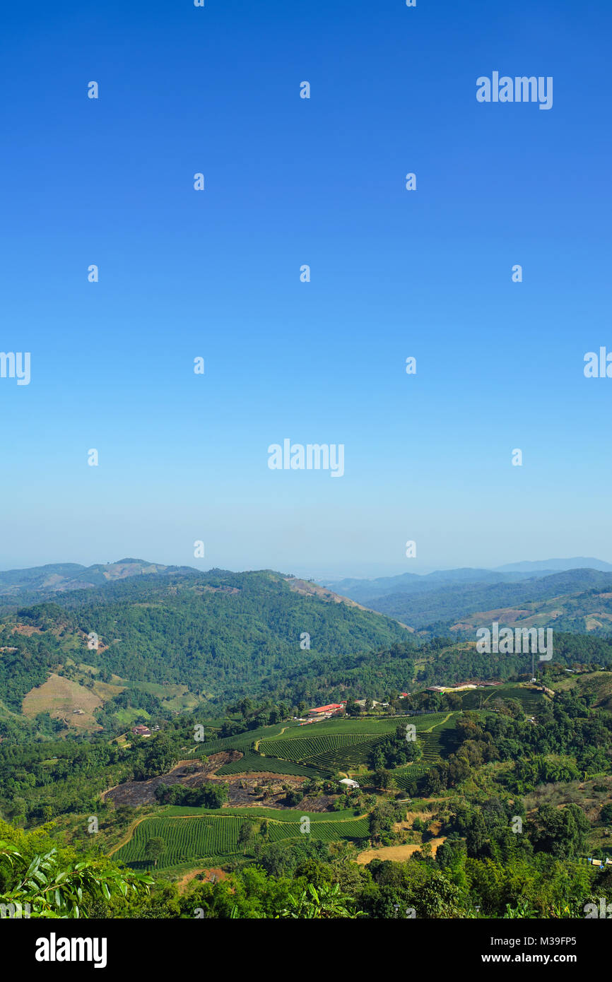 Vista la naturaleza de montaña, bosque y cielo azul en Doi Mae Salong, Chiang Rai, Tailandia Foto de stock