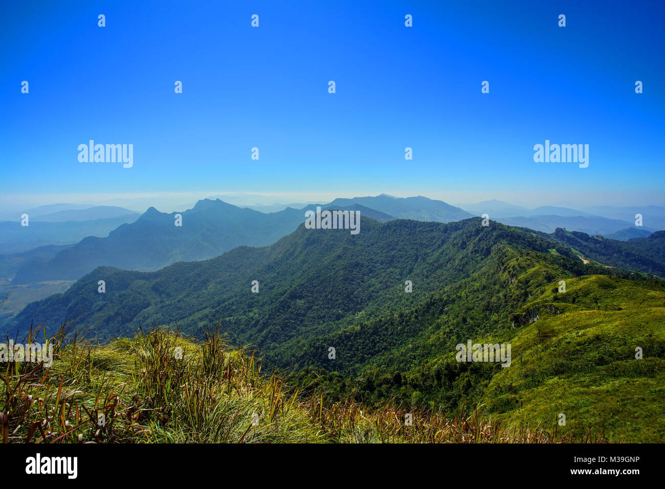 Montaña, bosque y cielo azul en Phu Chee Fa, Chiang Rai, Tailandia Foto de stock