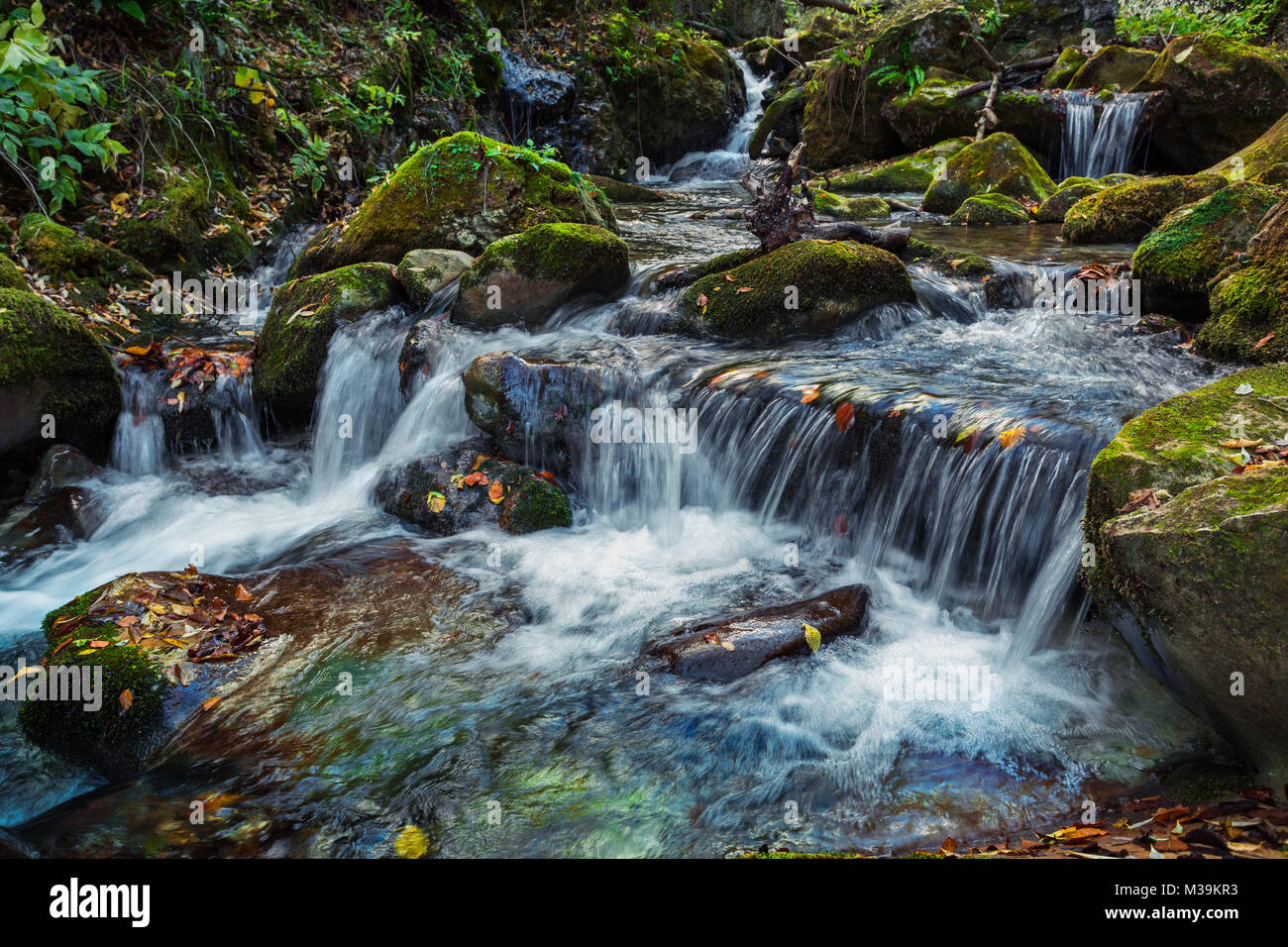 La corriente de Orfento fluye en el corazón del Parque Nacional Majella. La presencia de la nutria atestigua la pureza de sus aguas. Abruzzo, Italia Foto de stock