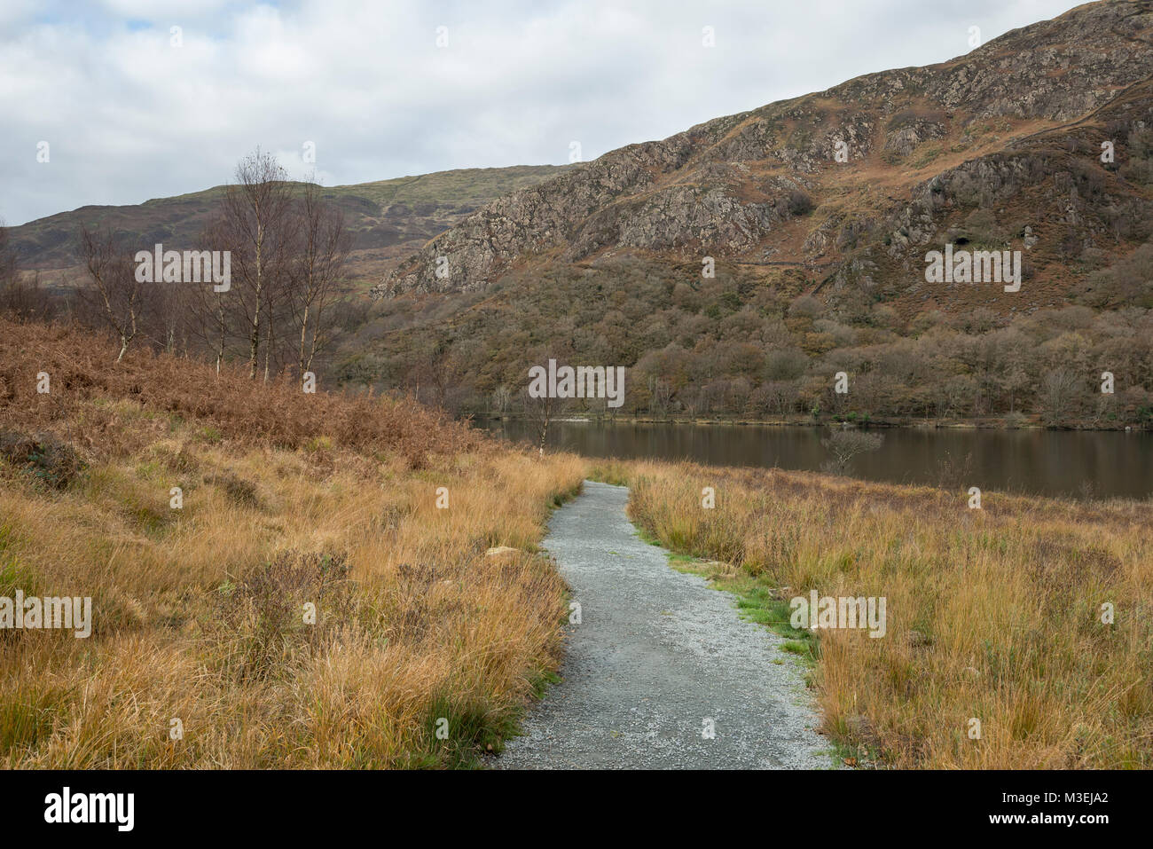 Llyn Dinas en otoño, el parque nacional de Snowdonia, al norte de Gales. Foto de stock