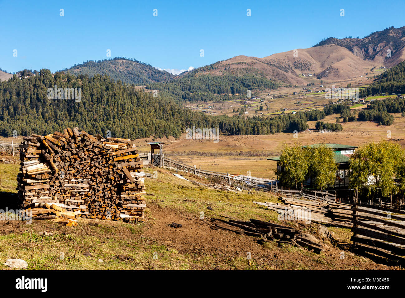Phobjikha, Bhután. Pila de leña. Campos agrícolas y asentamientos en la distancia. Foto de stock