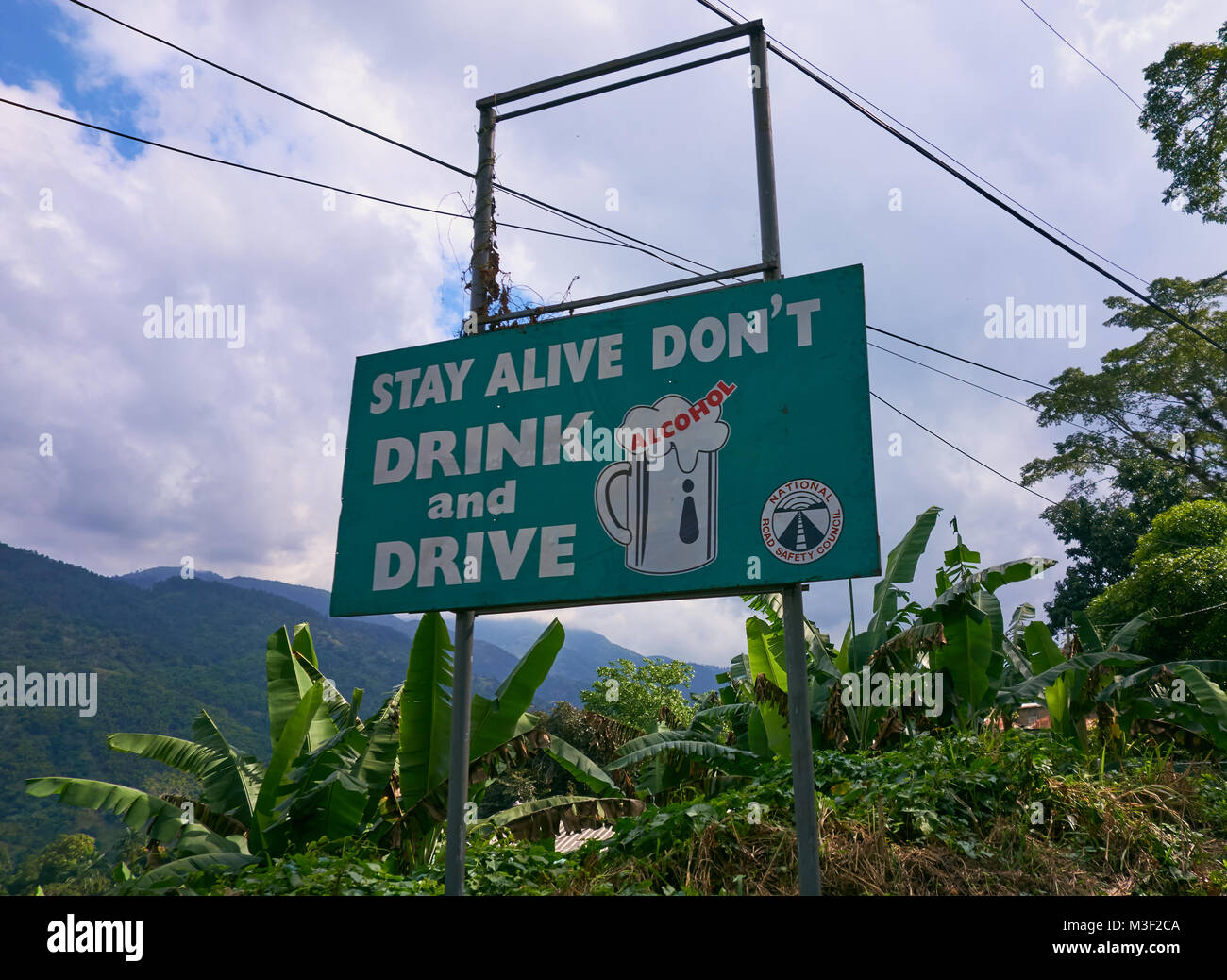 Parroquia de Portland, Jamaica - 1 de enero de 2014: Verde no beba y conduzca la seguridad vial firmar por el lado de la carretera B1 en la región de las Montañas Azules de th Foto de stock