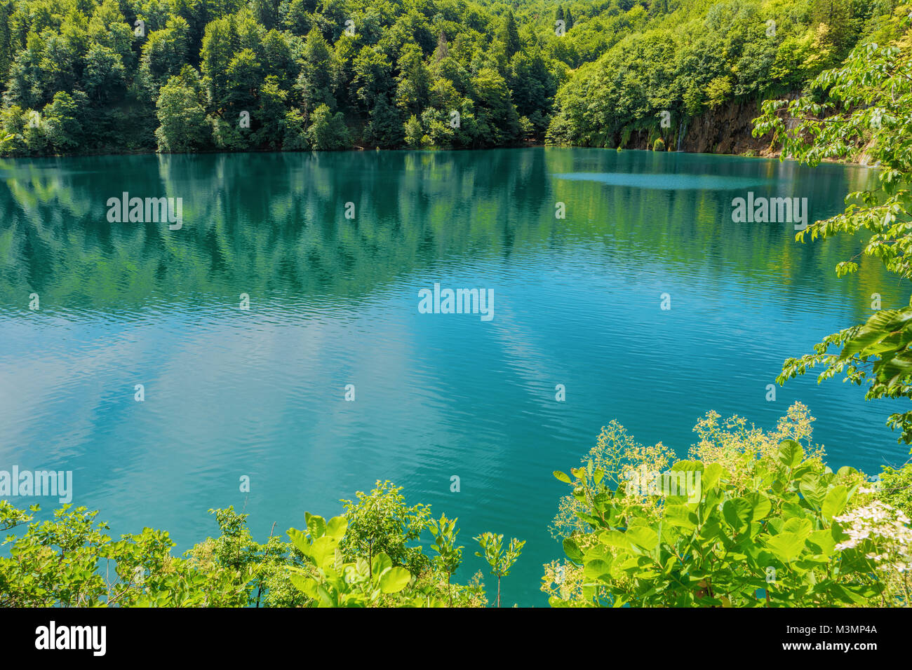 Parque Nacional de los Lagos de Plitvice, Croacia, Europa. Parque Natural con cascadas y aguas turquesas. Sitio de Patrimonio Mundial de la UNESCO. Agua clara de Plitv azul Foto de stock