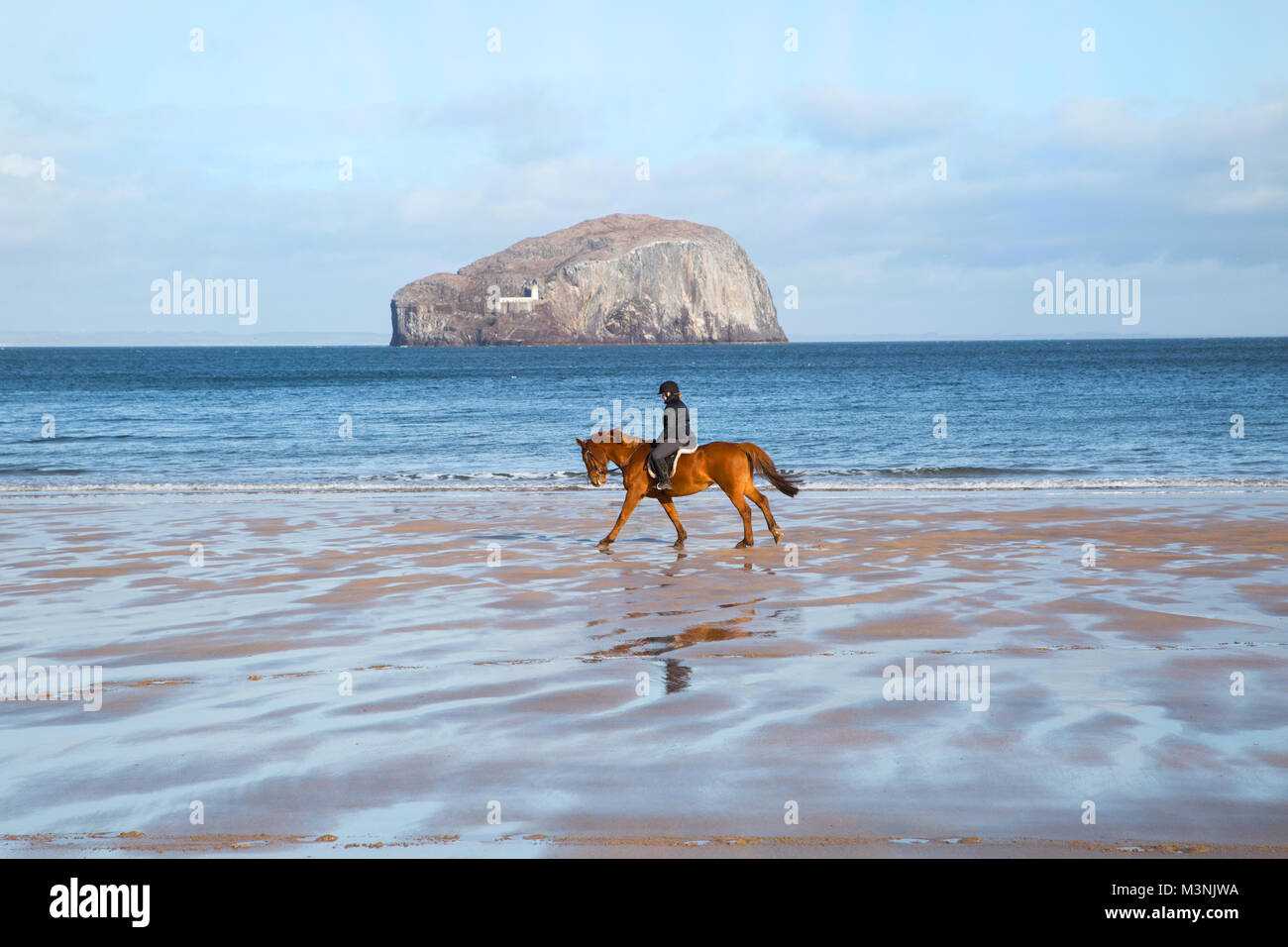 Paseos a caballo por la playa Seacliffe Foto de stock