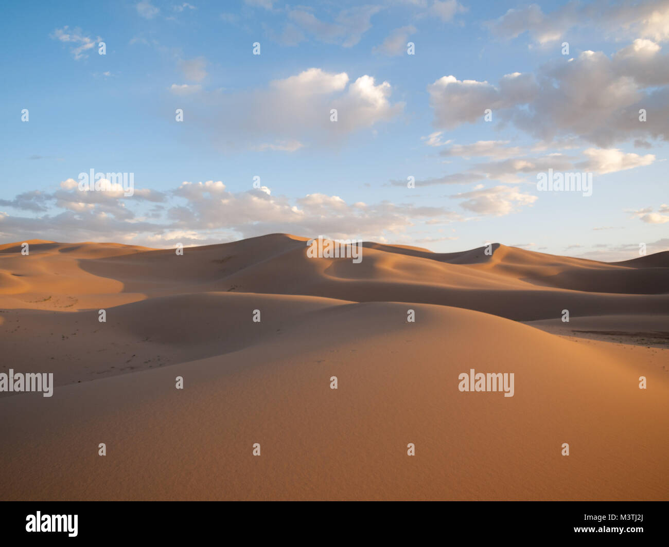 Las dunas de arena de Khongoryn Els Foto de stock