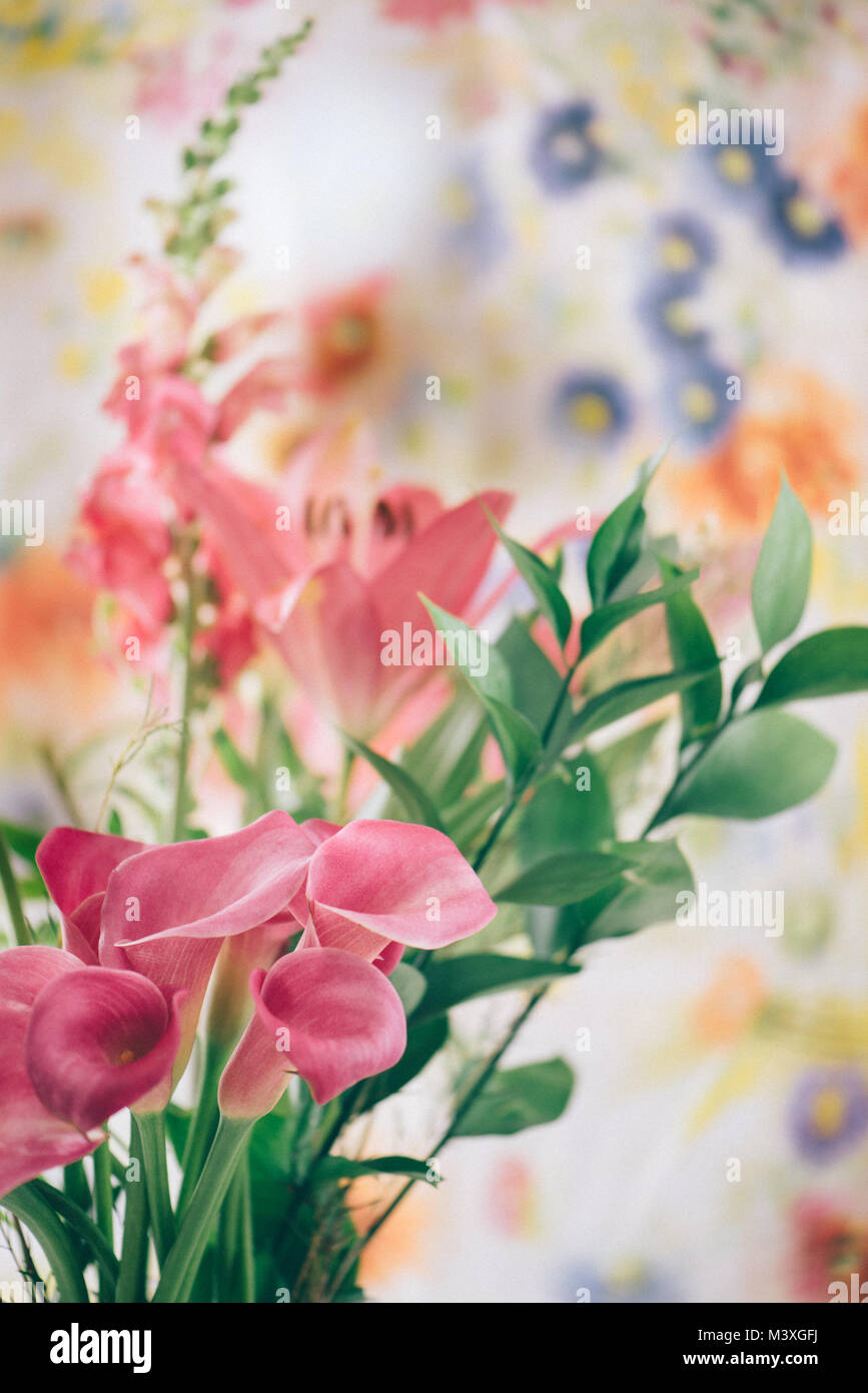 Flores alcatraces fotografías e imágenes de alta resolución - Alamy