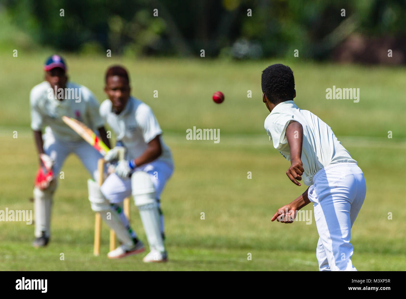 La acción del juego de cricket closeup abstracta no identificado bowler batsman wicket keeper. Foto de stock