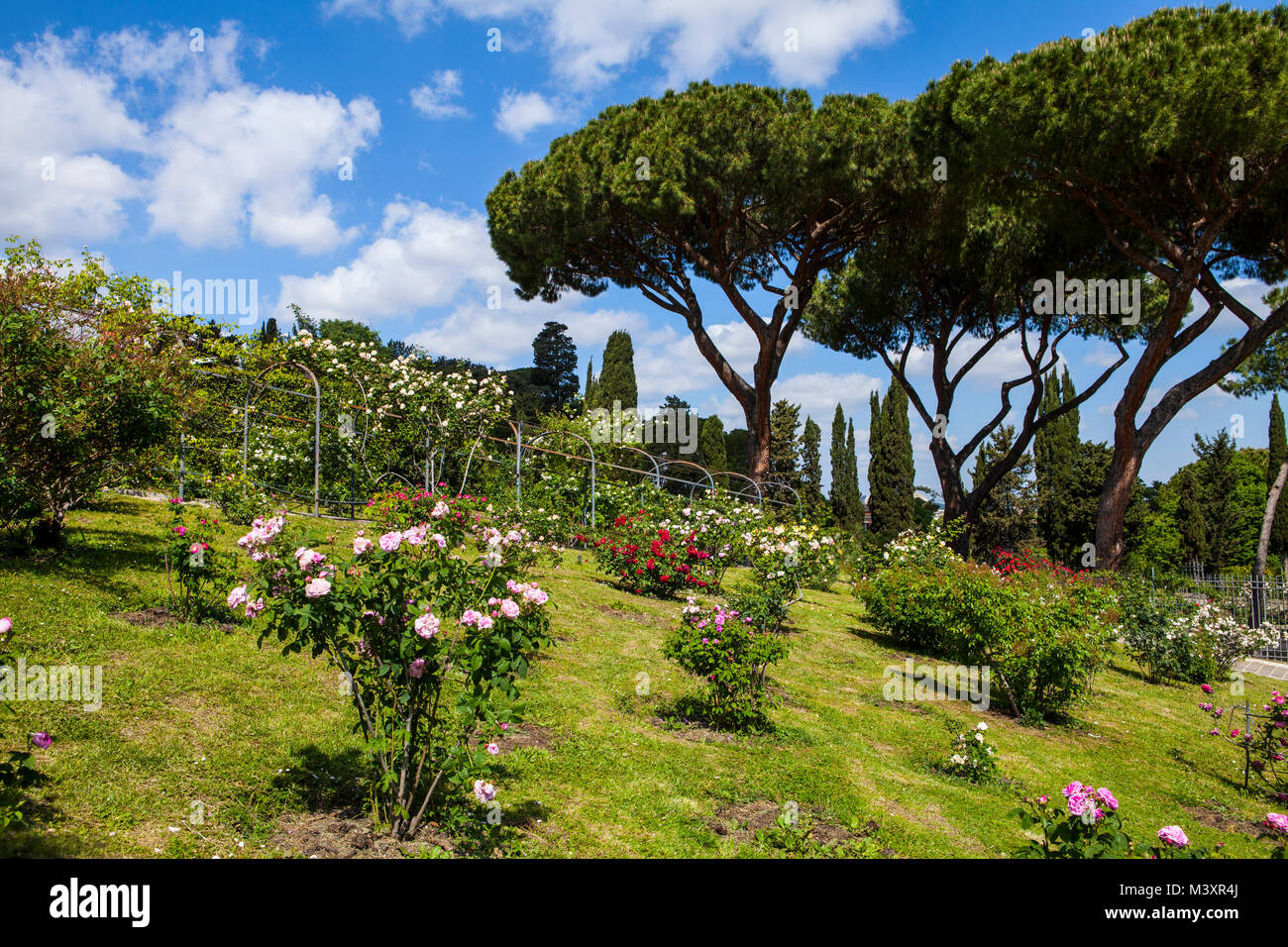 Rose Garden en Roma, Italia. Hermosa Municipal Rose Garden es un jardín público en Roma, situado en el monte Aventino en Roma Foto de stock
