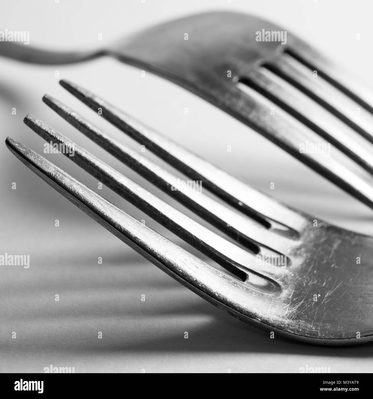 Dos Horquillas en blanco y negro como un formato cuadrado Foto de stock