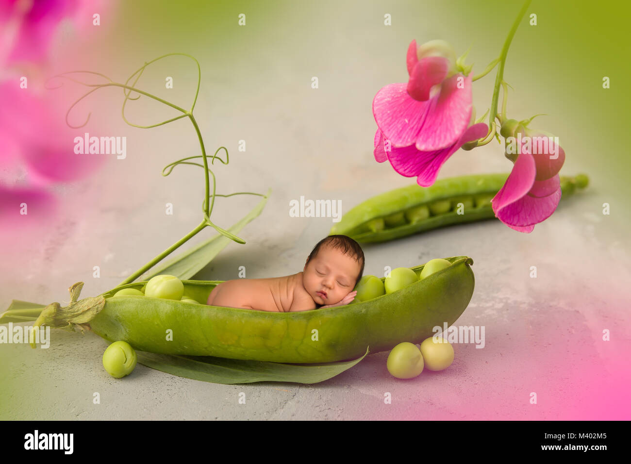 Bebé recién nacido duerme en una vaina de guisante con lathyrus flores Bebé recién nacido duerme en una vaina de guisante con lathyrus flores