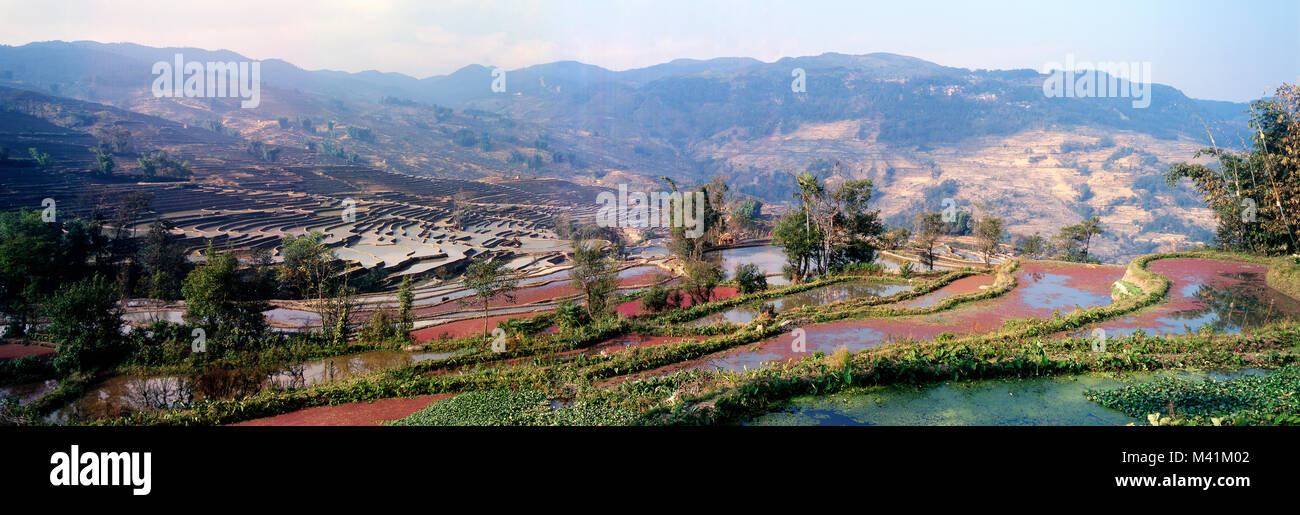 China, en la provincia de Yunnan, el Paisaje Cultural de Honghe Hani terrazas de arroz del Patrimonio Mundial por la UNESCO, Yuanyang, campo de arroz Foto de stock