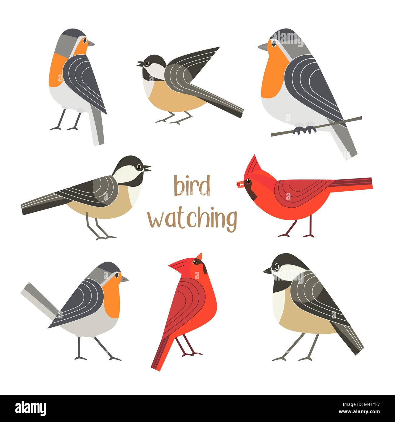 Cartel de observación de aves Ilustración del Vector