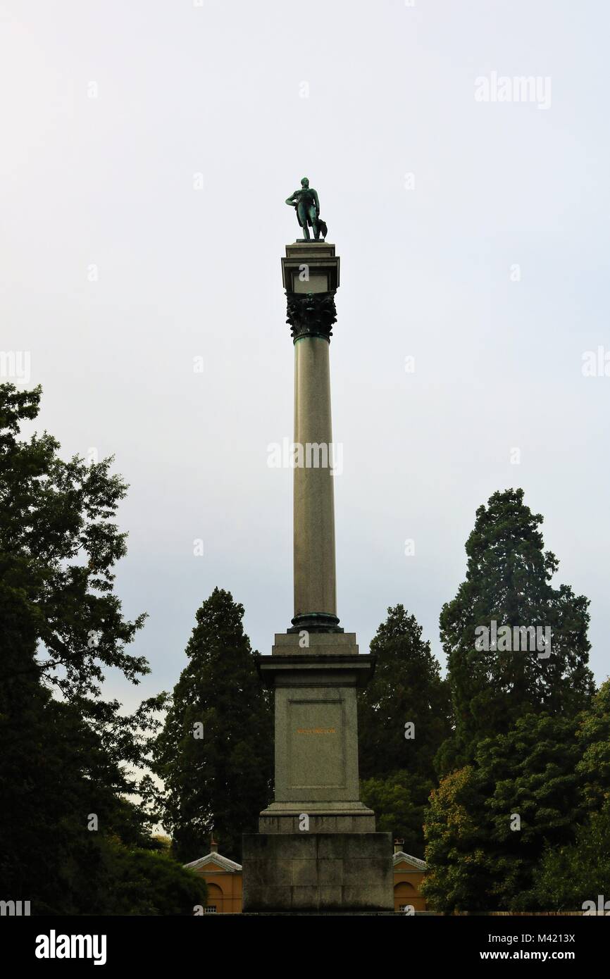 Duque de Wellington Country Park columna conmemorativa, Hampshire, Reino Unido Foto de stock