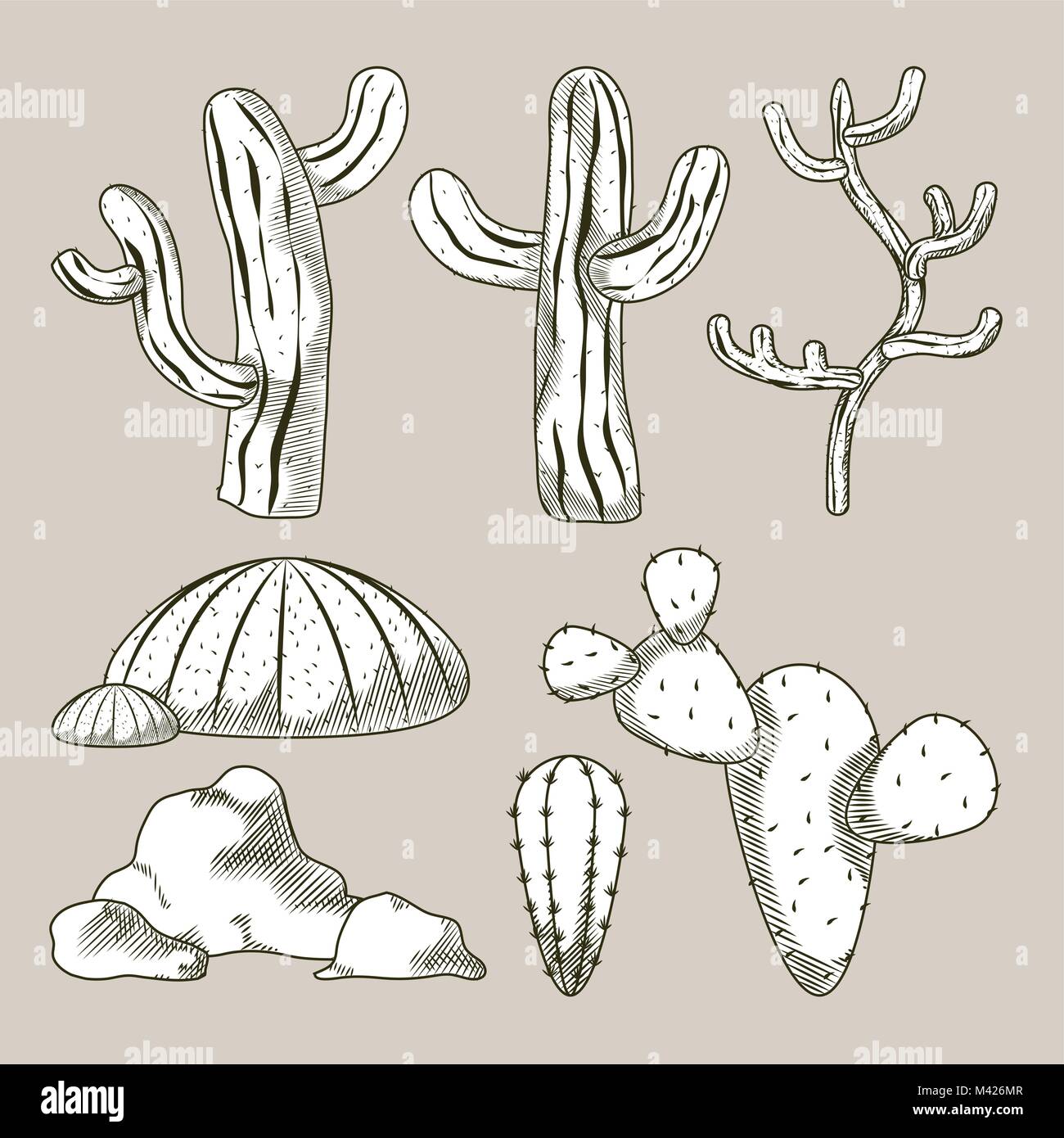 Las plantas del desierto dibujos animados dibujados a mano Imagen Vector de  stock - Alamy