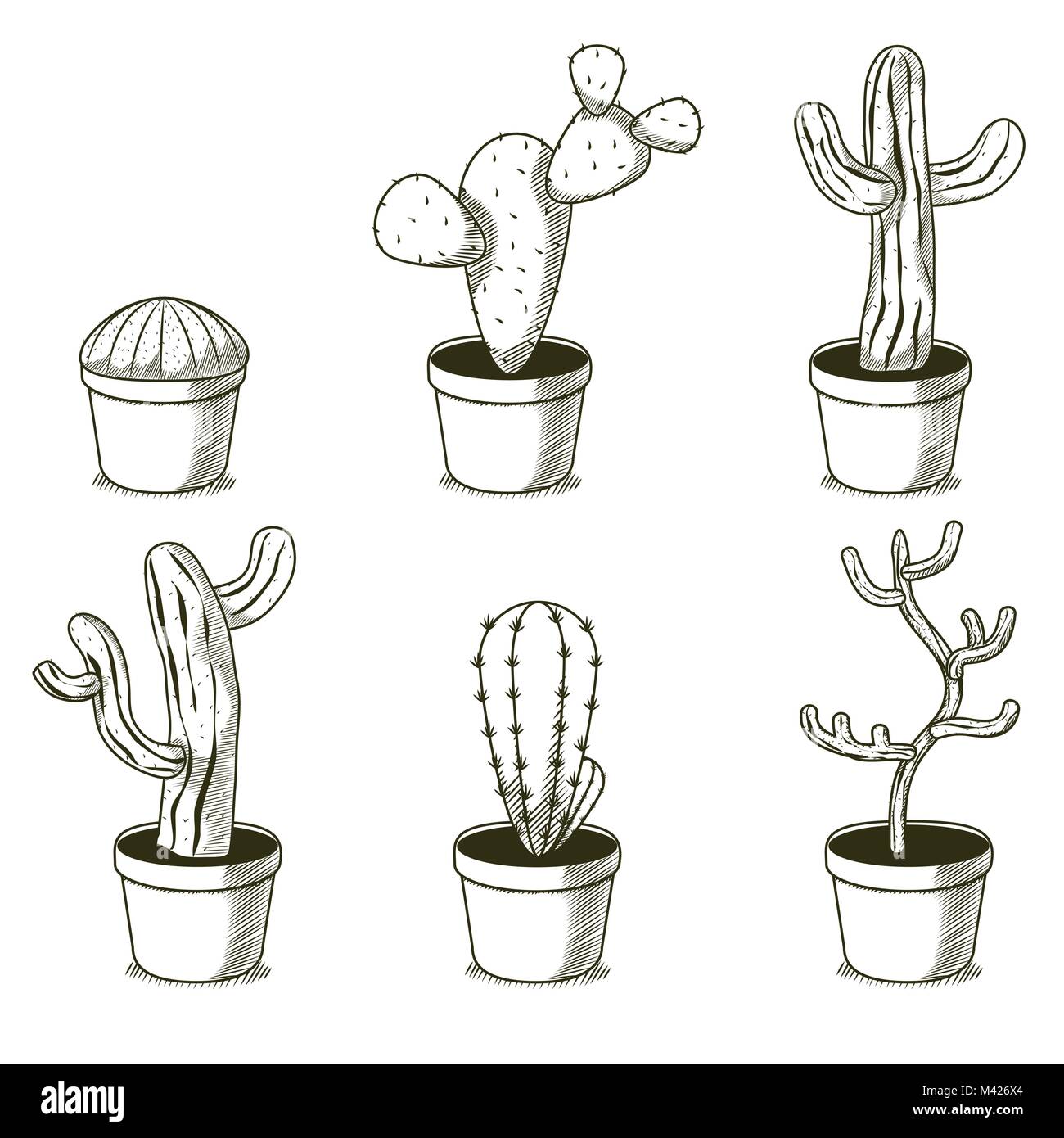 Las plantas del desierto dibujos animados dibujados a mano Imagen Vector de  stock - Alamy