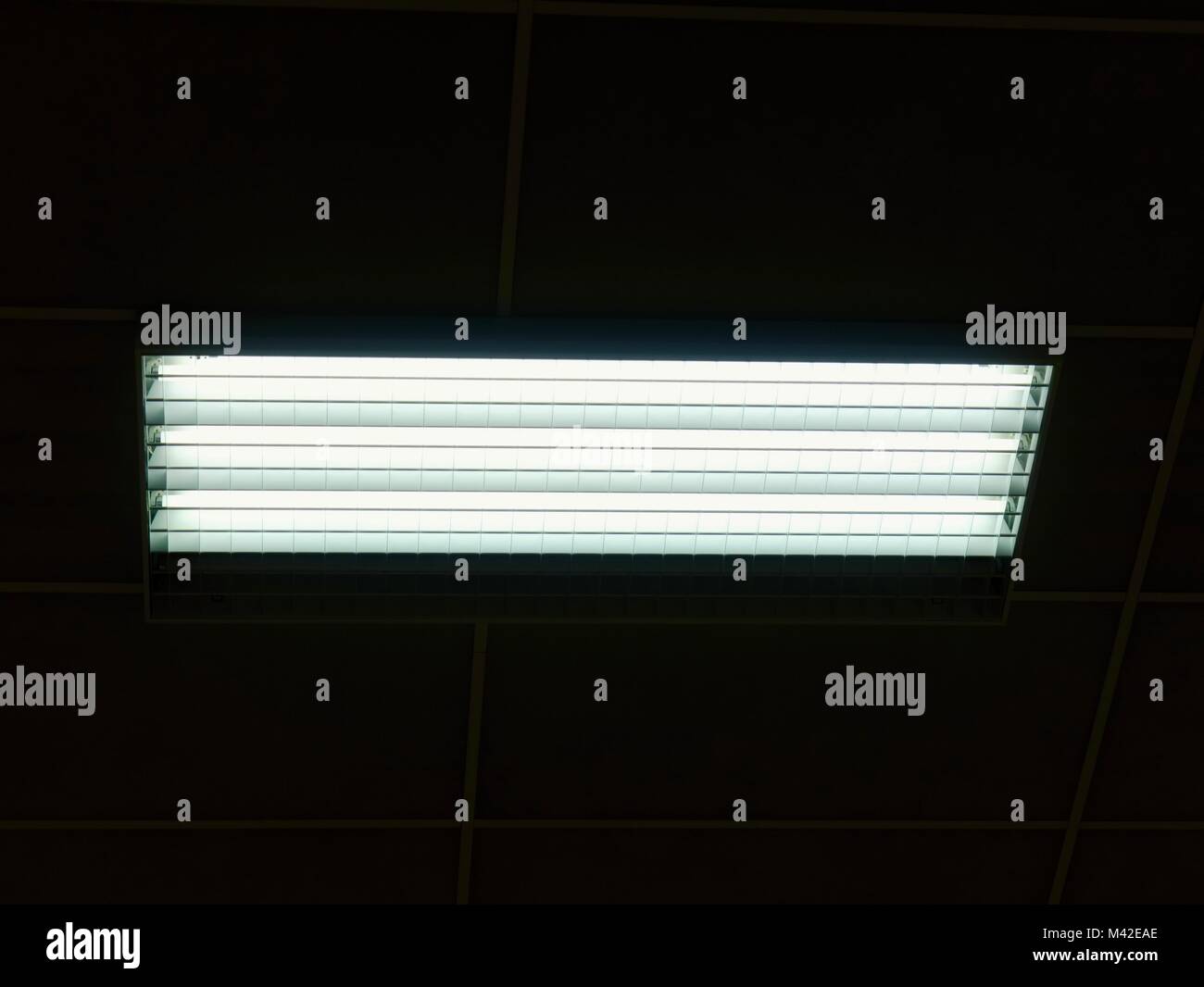 Panel iluminado de tubos de lámparas fluorescentes de mercurio. Sistema