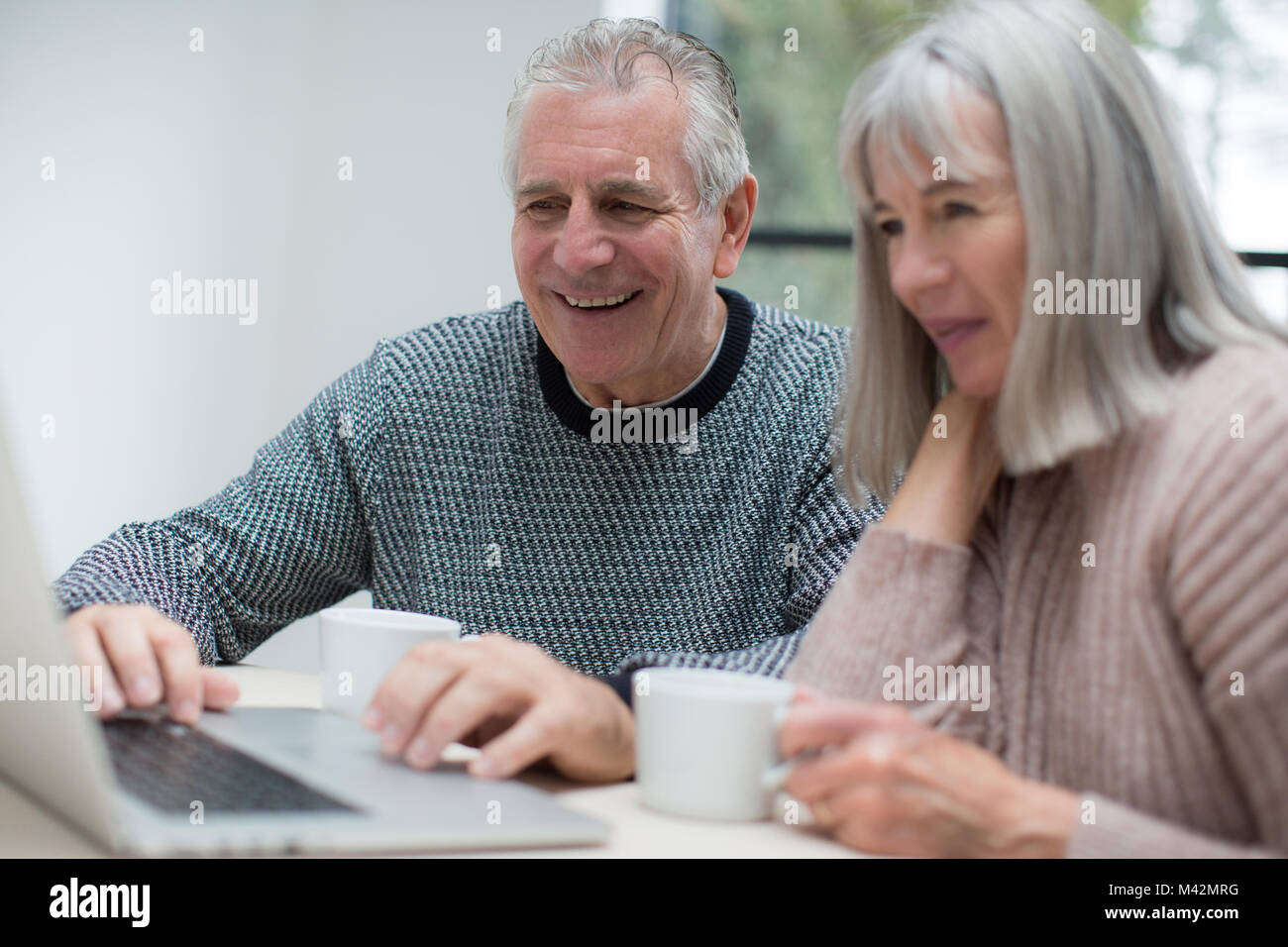 Las parejas ancianas usando un ordenador portátil juntos Foto de stock