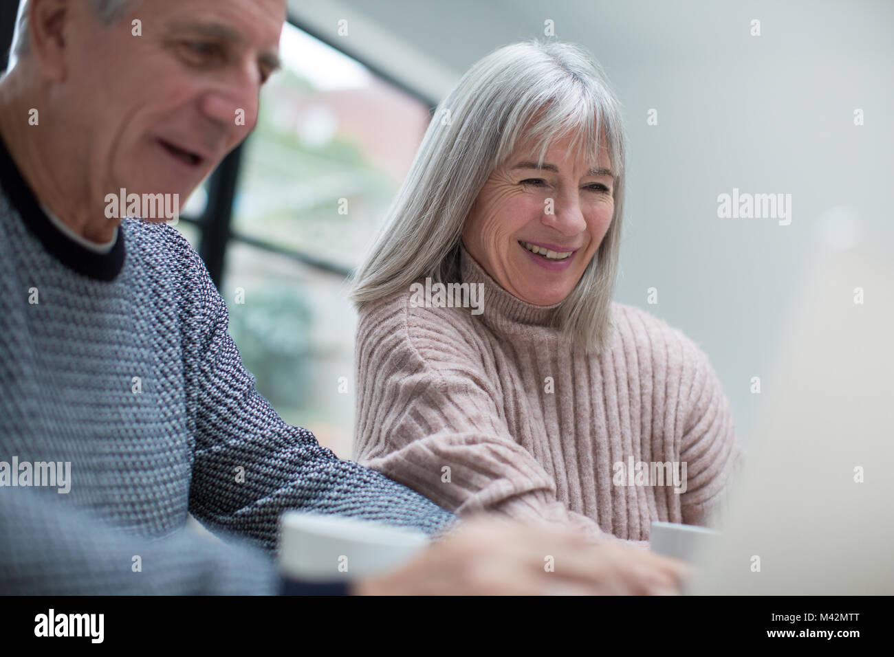 Las parejas ancianas usando un ordenador portátil juntos Foto de stock
