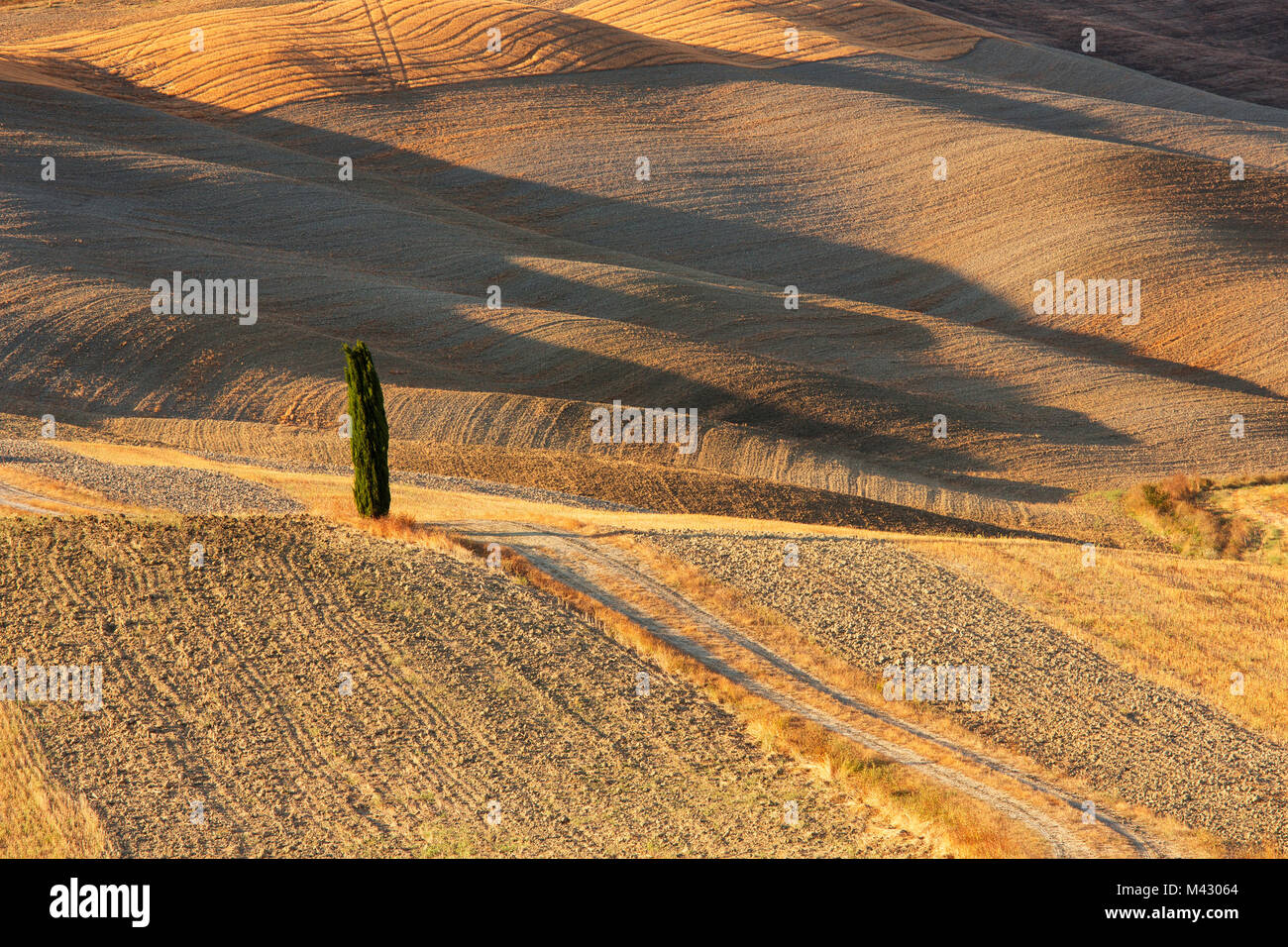 Europa, Italia, Toscana, Siena,distrito Valle de Orcia. Foto de stock
