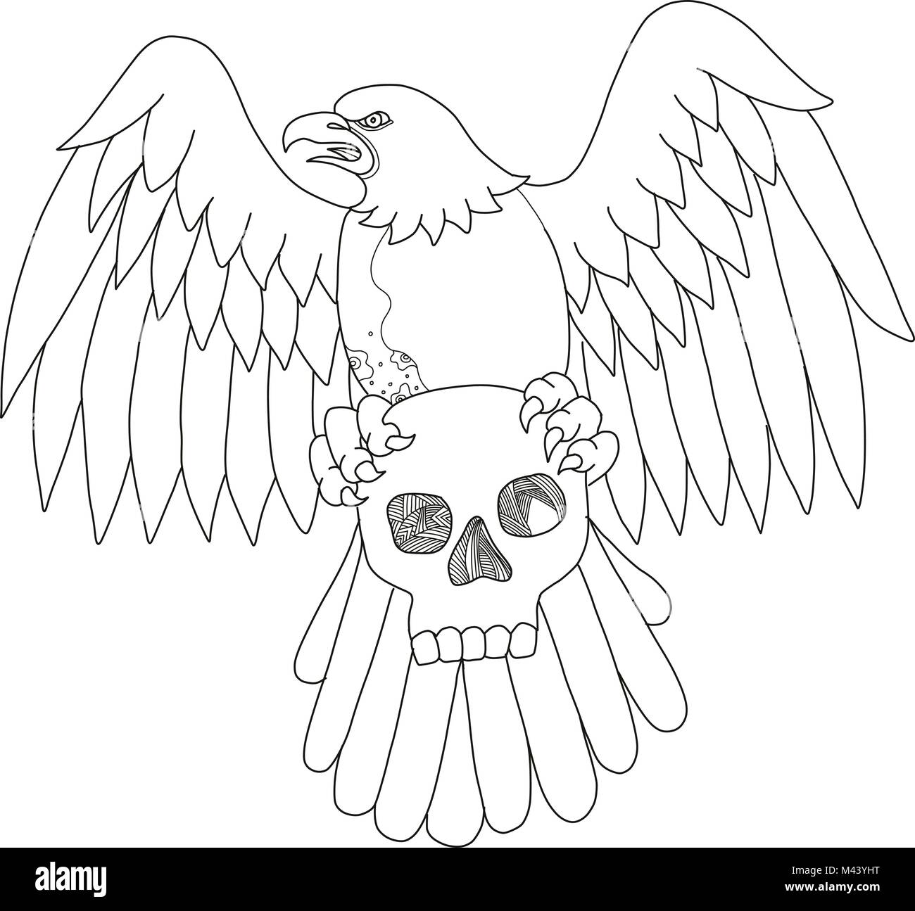 Doodle art ilustración de un águila calva americana agarrando una calavera  con alas extendidas, visto desde la parte delantera realizada en estilo  mandala Imagen Vector de stock - Alamy