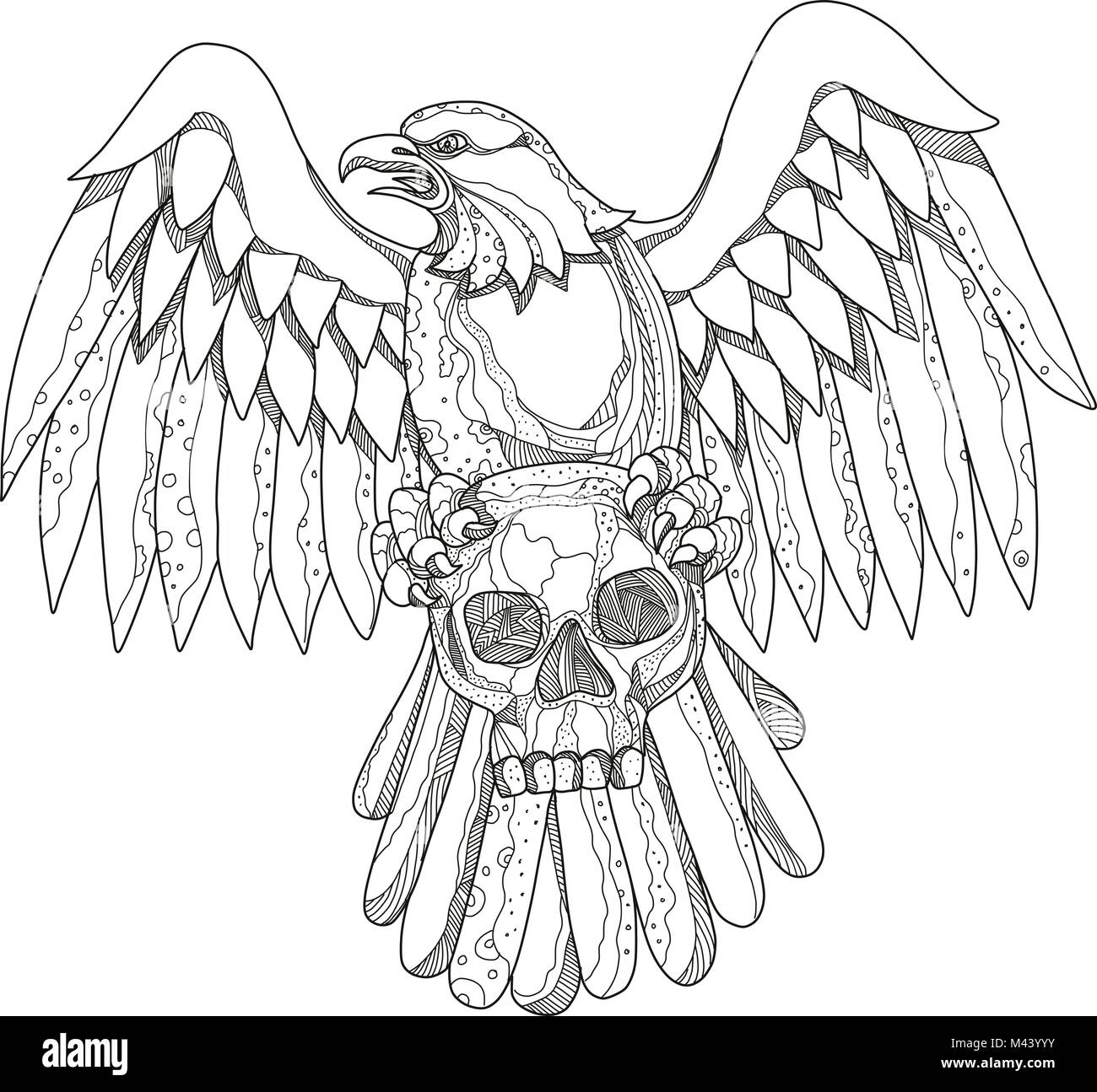 Doodle art ilustración de un águila calva americana agarrando una calavera  con alas extendidas, visto desde la parte delantera realizada en estilo  mandala Imagen Vector de stock - Alamy