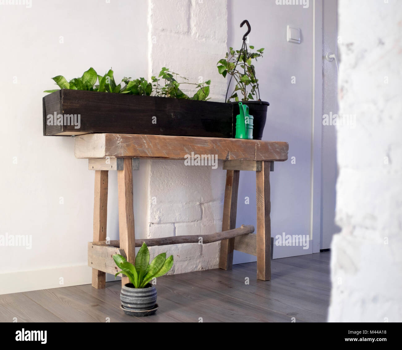 Plantas en macetas arreglo en el pasillo de casa Foto de stock