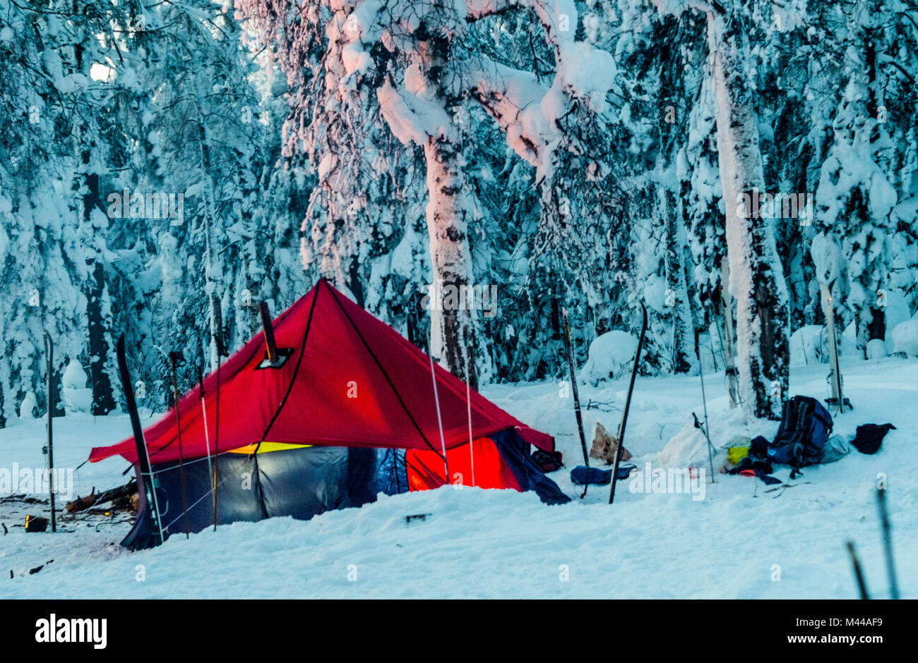 Carpa en el bosque cubierto de nieve, Rusia Foto de stock