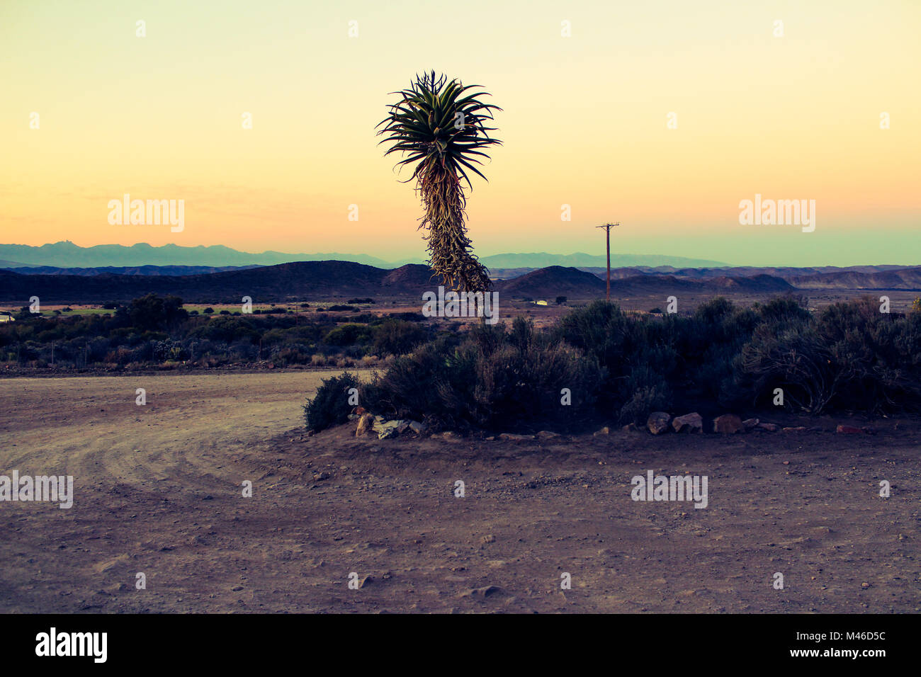 Un gran angular de disparo de un polvoriento en una granja fuera Barrydale en el semi-desierto Klein Karoo, Sudáfrica, tomadas justo después del atardecer Foto de stock