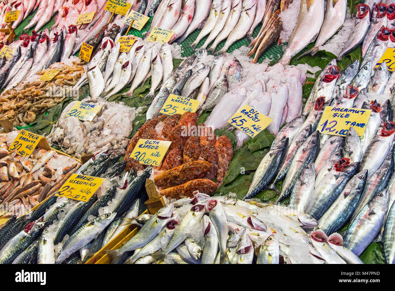 Gran variedad de pescados para la venta en un mercado turco Foto de stock