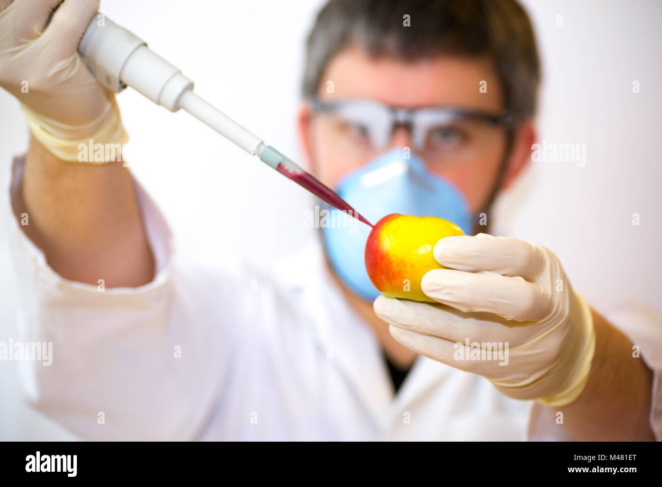Scientist creando manzanas OMG Foto de stock